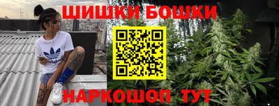 скорость Новозыбков