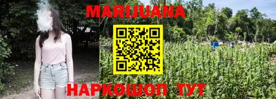скорость Новозыбков