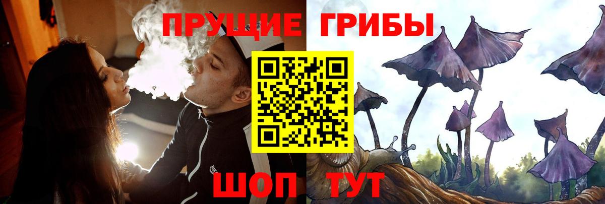 Галлюциногенные грибы прущие грибы Удомля